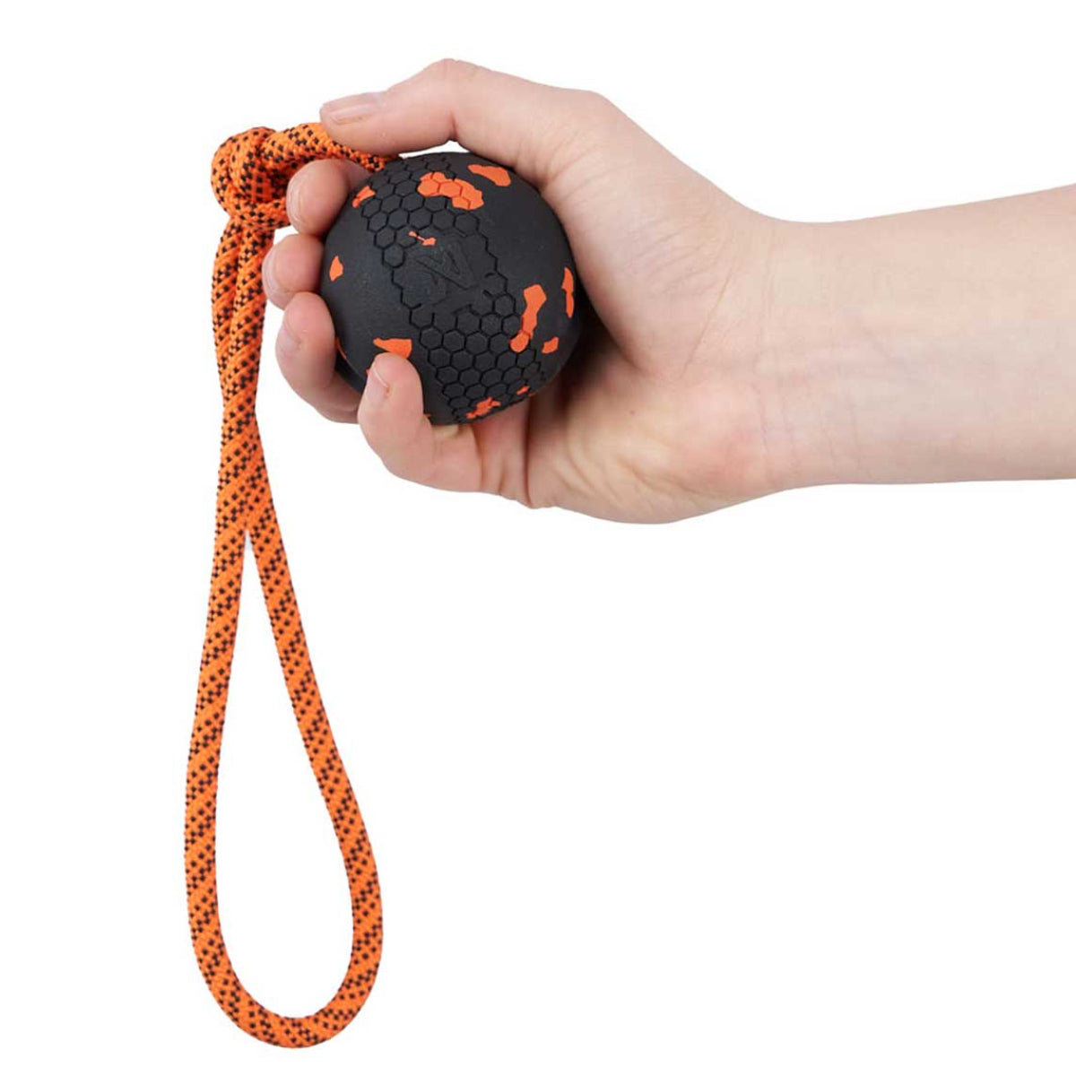 Dog ball on rope