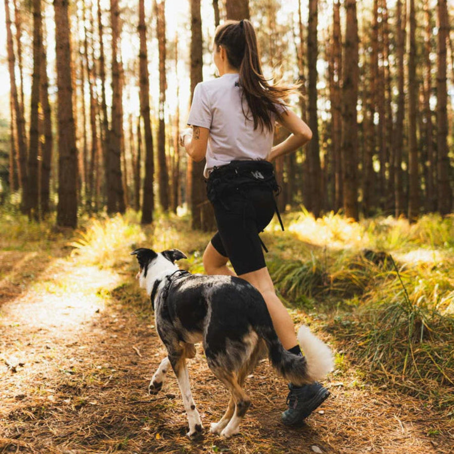 Trail light belt