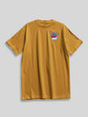 Ocre