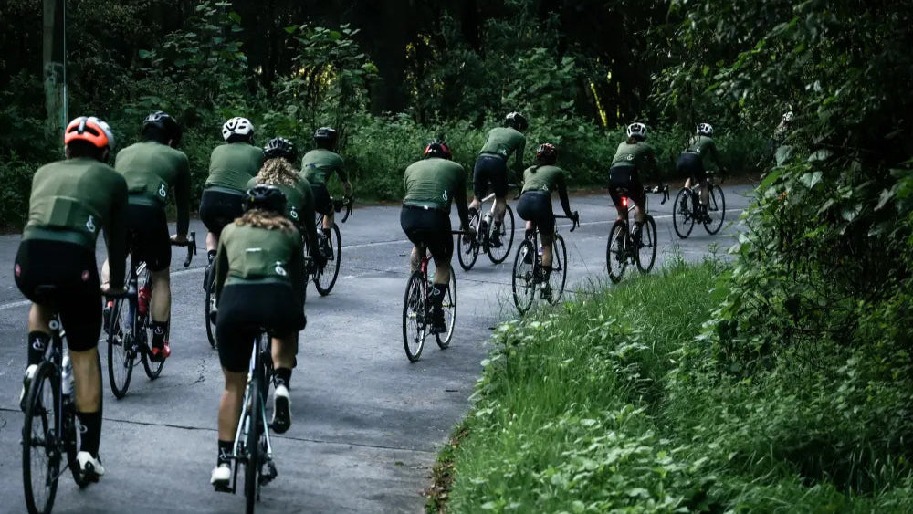 Vitrina Velominata