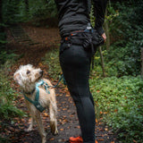 Trail light belt